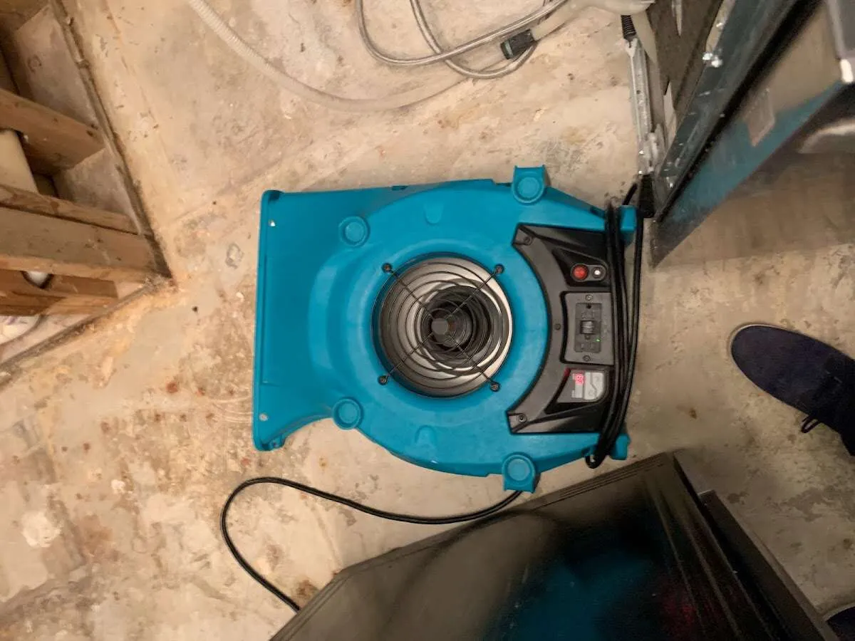 Air mover drying equipment for Mold Remediation & Removal in Madisonville